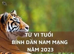 Bính Dần 2023 Nam Mạng