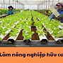 Đi Nhật Về Nên Làm Gì