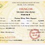 Thi Chứng Chỉ Tin Học Cơ Bản Đại Học Bách Khoa Hà Nội