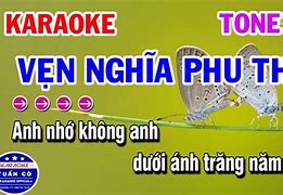 Vẹn Nghĩa Phu Thê Karaoke